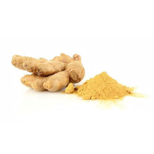 No Artificial Flavour Antioxidant Healthy Natural Rich Taste Organic Dried Ginger Powder
