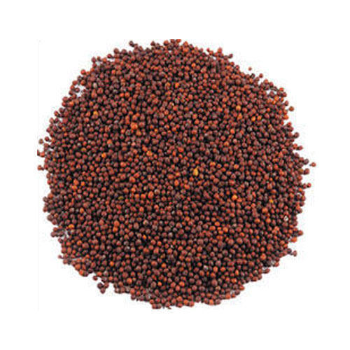 Healthy Natural Rich Fine Taste Chemical Free Brown Mustard Seeds