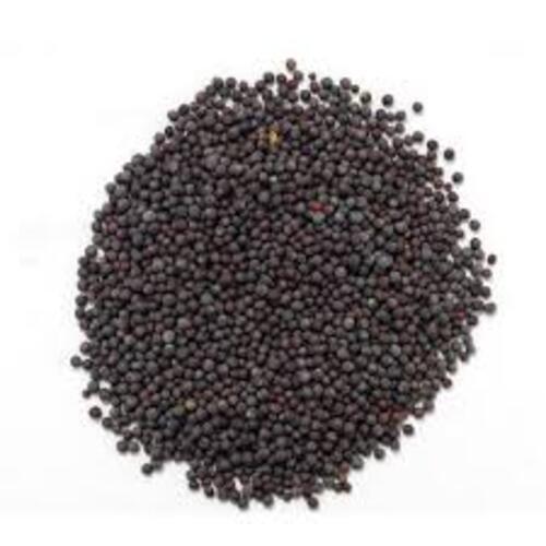 Healthy Natural Rich Fine Taste Chemical Free Organic Black Mustard Seeds