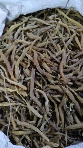Natural Dry Shatavari Root 5 Kg Packet Packaging