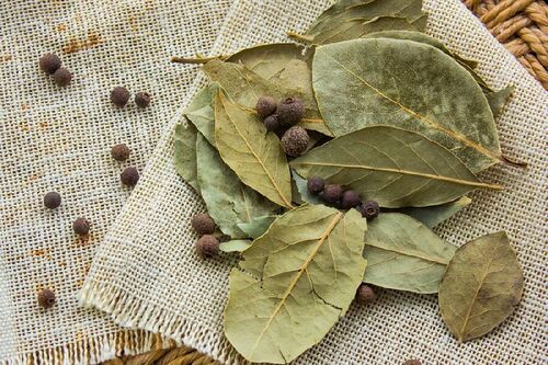 Chemical Free Nice Fragrance Rich Natural Taste Green Dried Bay Leaves