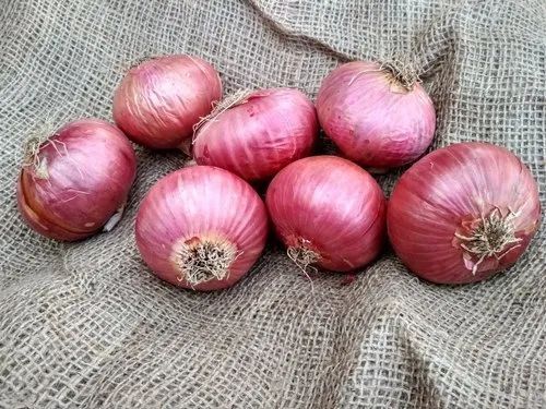 A Grade Maharashtra Nashik Pink Onion, Packaging Size: 50 Kg