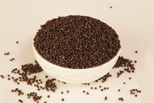 Healthy Natural Rich Fine Taste Chemical Free Black Mustard Seeds