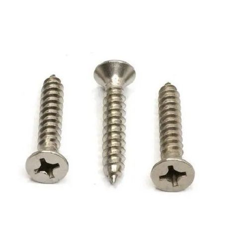 1 Inch Chrome Polished SS 304 Stainless Steel Drywall Screw for Furniture Fitting