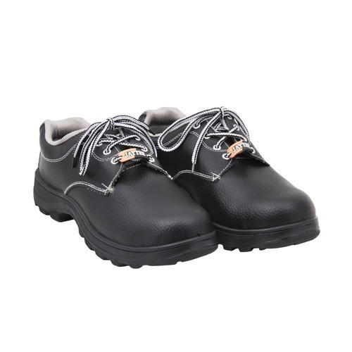 Hind Pro Royale Steel Toe Safety Shoes, Size: 6