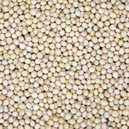 Long Shelf Life No Artificial Color Natural Taste Organic White Mustard Seeds