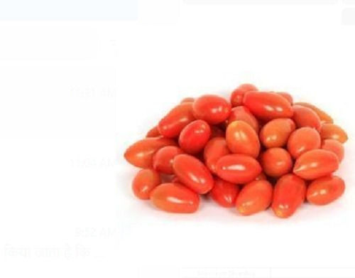 Natural And Fresh Oval Shape Food Grade Raw Cherry Tomatoes For Cooking 