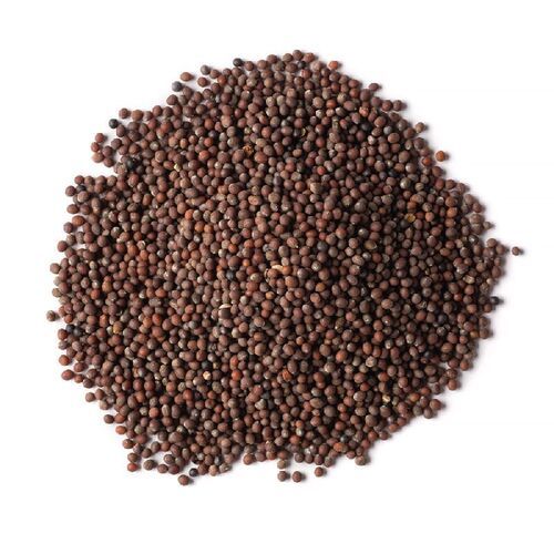 No Artificial Color Long Shelf Life Natural Taste Organic Brown Mustard Seeds
