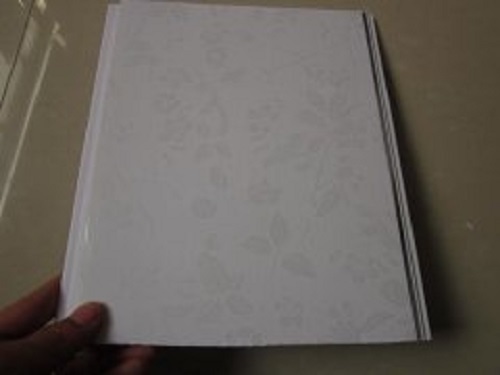 Silver Color PVC Wall And Ceiling Panel