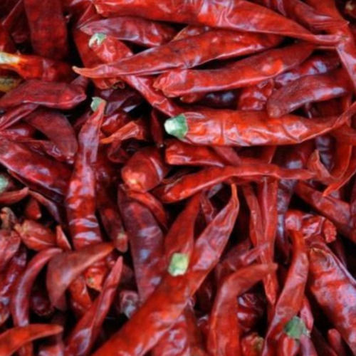 Spicy Natural Taste No Artificial Color Thin Dried Guntur Sannam Red Chilli