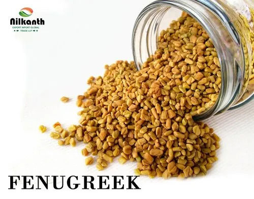 100 Percent Natural and Pure Fenugreek Seed