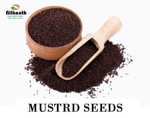 100 Percent Natural and Pure Organic Black Mustard Seeds