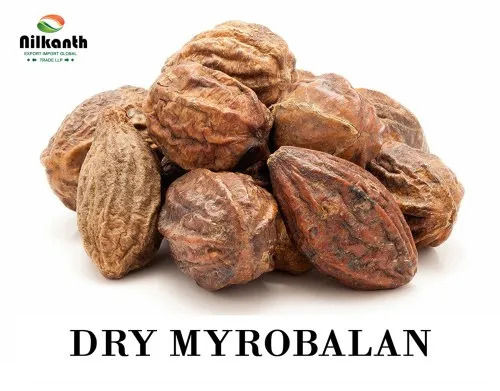 A Grade Organic Dry Myrobalan with 3 Years Shelf Life