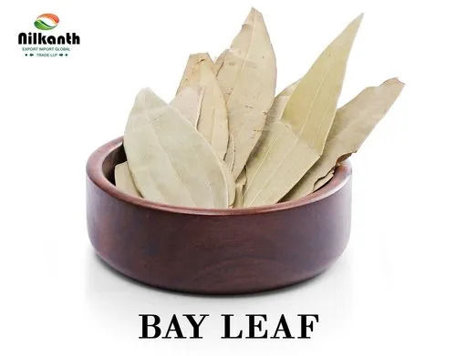 Longer Shelf Life Impurity Free A Grade Fresh Bay Leaf