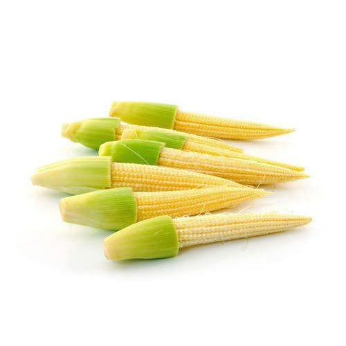 100 % Pure And Fresh Yellow Sweet Baby Corn