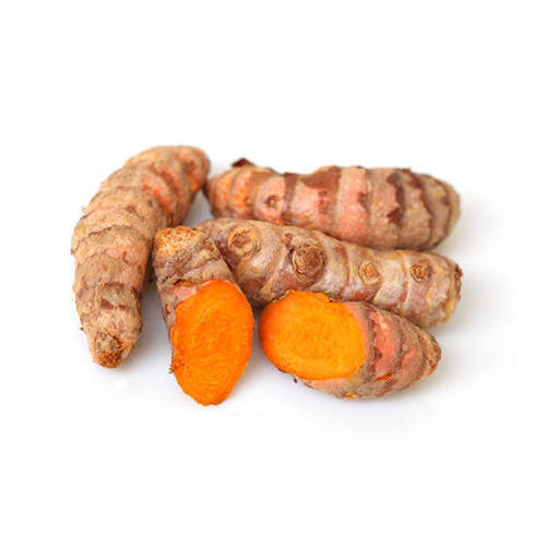 Antioxidant Chemical Free Natural Taste Healthy Yellow Fresh Turmeric Roots