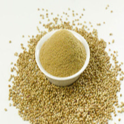 Fine Rich Natural Taste Chemical Free Healthy Dried Coriander Powder