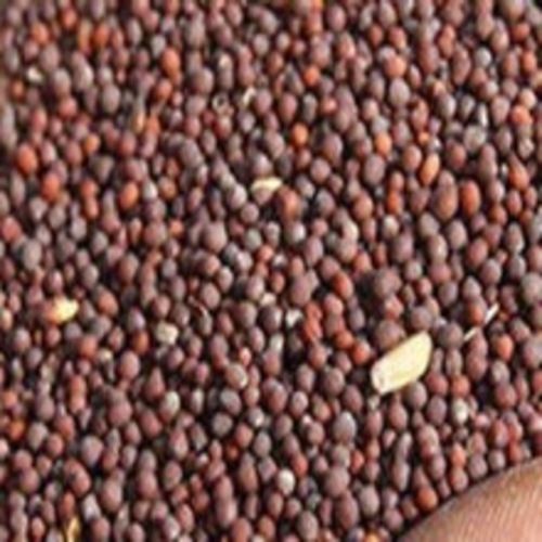 Brown Mustard Seeds - Chemical Free, Air Dried, Natural Taste , Safe Packaging for Cooking and Human Consumption