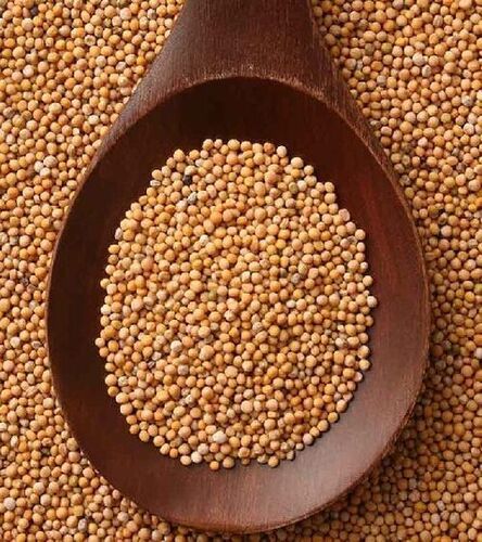 Healthy Natural Rich Fine Taste Chemical Free Organic Mustard Seeds