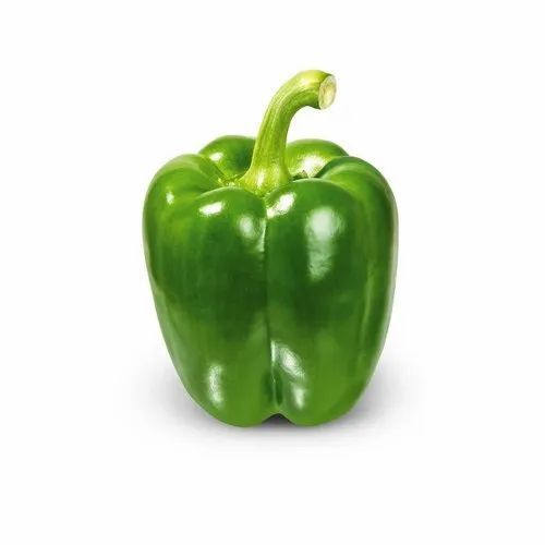 Organic Green Capsicum For Vegetables With 2 Week Shelf Life And Green Color