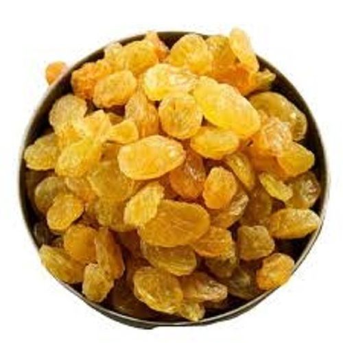 Healthy A Grade Oval Shape Medium Size Sweet Tasty Dried Yellow Raisin