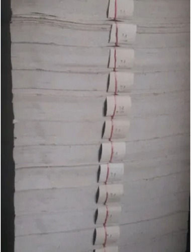 Wood Pulp Polyethylene Coated Corrugated Paper For Packaging Size 