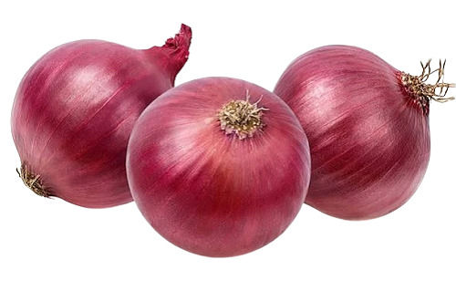 Fresh Red Onion In Howrah - Prices, Manufacturers & Suppliers