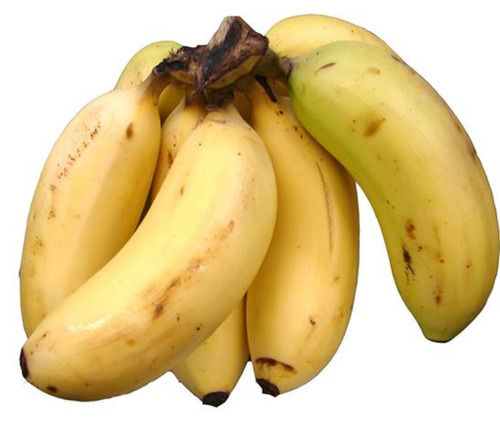 Curved Shape Indian Origin Yellow Sweet Tasty Rastali Banana