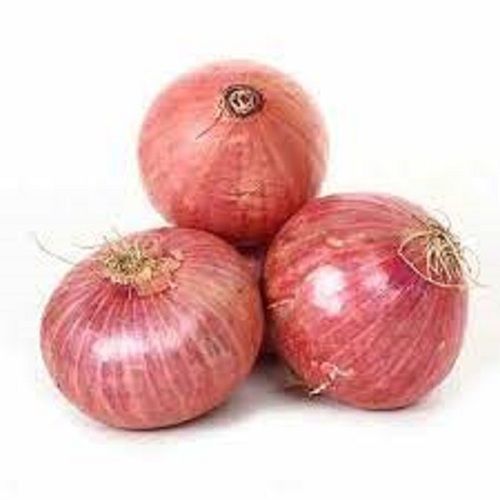 Fresh Round Shape Naturally Grown Raw Red Onion