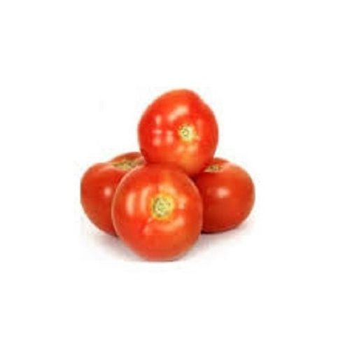Good For Health Pesticide Free Red Round Raw Naturally Grown Fresh Tomato