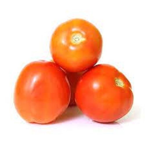 Round Shape Naturally Grown Fresh Red Tomato