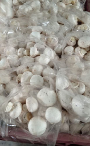 Seasoned Cultivated Dried Button Agaricus Mushroom For Cooking