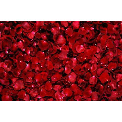 Dark Red Rose Petal For Decoration, Moisture: 5-7 %