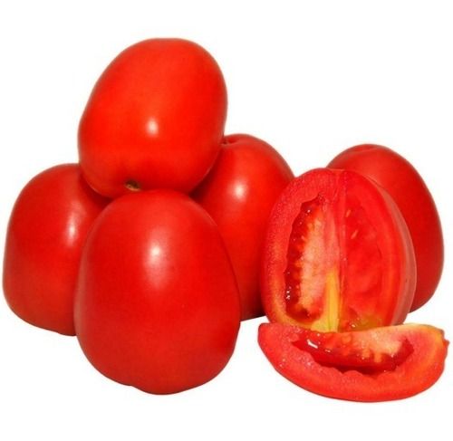 Good For Health Pesticide Free No Artificial Color Natural Red Oval Fresh Tomato
