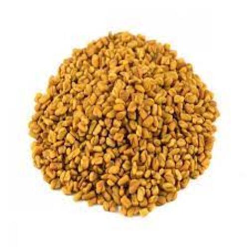 No Artificial Color Chemical Free Natural Rich Taste Dried Organic Fenugreek Seeds