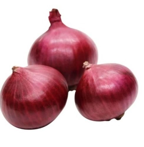 Spherical Shaped Seasoned Raw Onion With 1 Week Shelf Life 