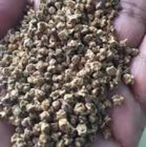 100% Natural And Organic White Spinach Seeds For Agriculture Application: Interior