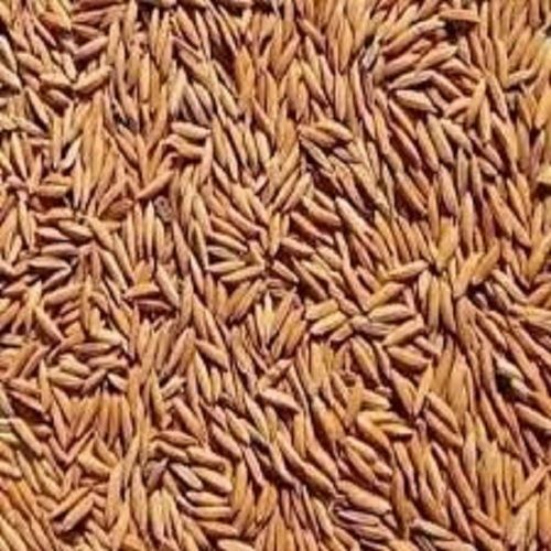 100% Pure Medium Grain Indian Origin Dried Healthy Brown Paddy Rice