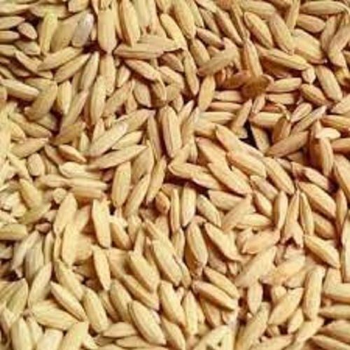  भारतीय मूल 100% शुद्ध सूखा भूरा स्वस्थ मध्यम अनाज धान चावल 