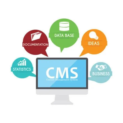 Cms Web Development Services