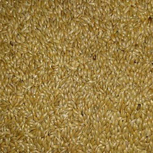 Light Yellow Canary Seed