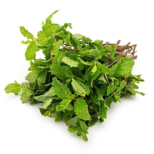 Nice Fragrance Pesticide Free Rich Natural Taste Green Fresh Mint Leaves