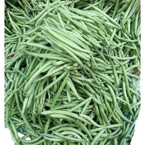 Grey Pure And Natural Commonly Cultivated Food Grade Fresh Beans Vegetables