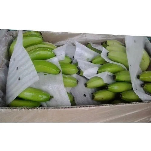 Green-Off White 1.75Mm Thickness Waterproof Epe Foam Cut Sheet For Fruit Packing