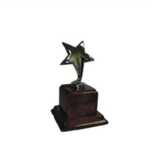 कार्यालय उपयोग के लिए पीपी मल्टी कलर वुड एंड मेटल मटेरियल प्रिंटेड कस्टम अवार्ड्स