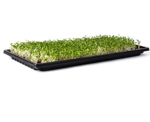 Polished Finish Hydroponics Growing Nursery Tray