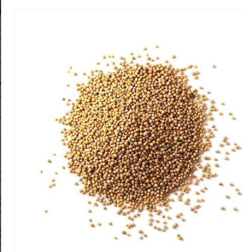 100% Purity Natural And Organic Mustard Seeds For Cooking Use