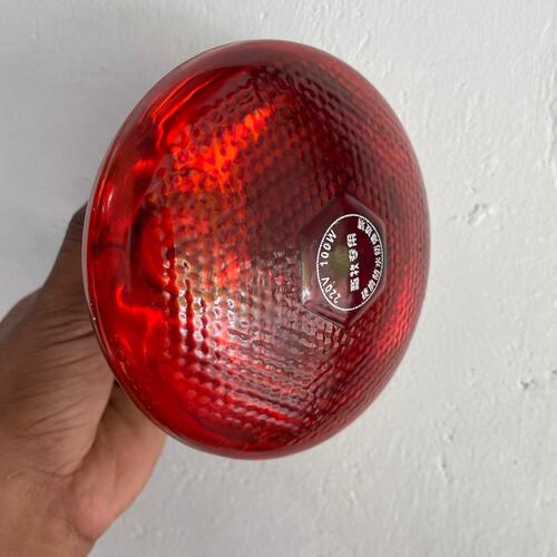 Electric 100 Watt Red Ceramic Heating Lamp For Animal And Poultry Farm