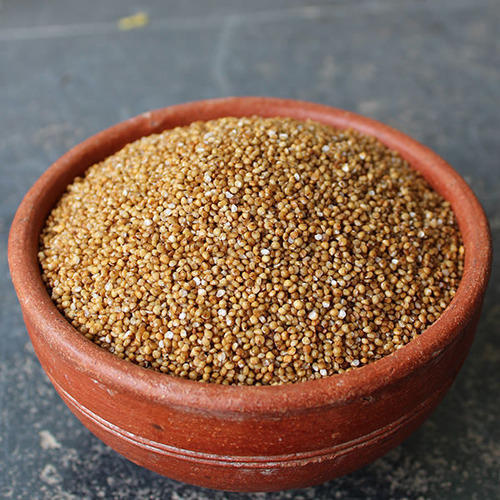 Organic Foxtail Millet With 1 Year Shelf Life and Packaging Size 50 Kg