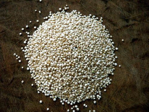 quinoa seeds